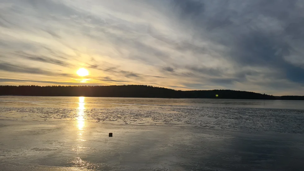 Dagens läsarbild.