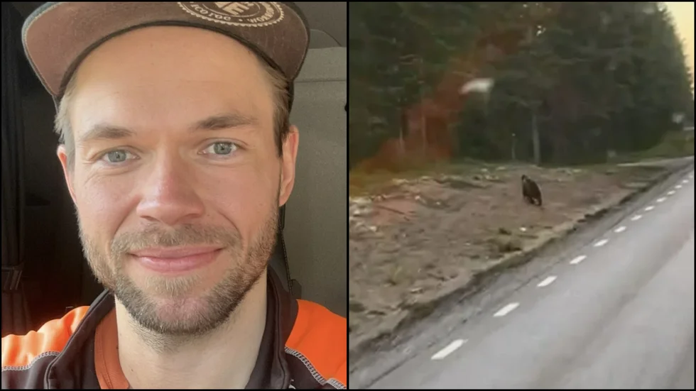 Tomas Sundman såg en björn vid Pålberget. "Jag blev väldigt förvånad."