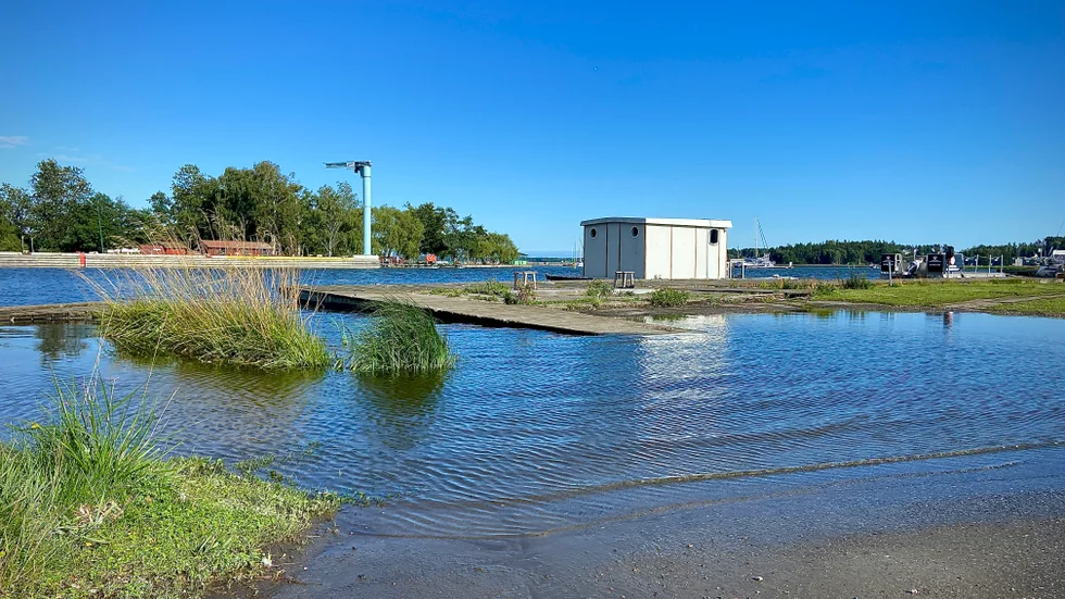 Översvämning i Nyköpings småbåtshamn längst in i Stadsfjärden i augusti. Här planeras för bostäder, Västra hamnen, men där ska marknivån höjas med upp till 2,5 meter. 