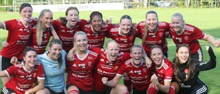 "Mer pengar till fotbollen skulle vara väldigt välkommet"