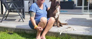 Hunden Texas i Eskilstuna smittad av skabbräv