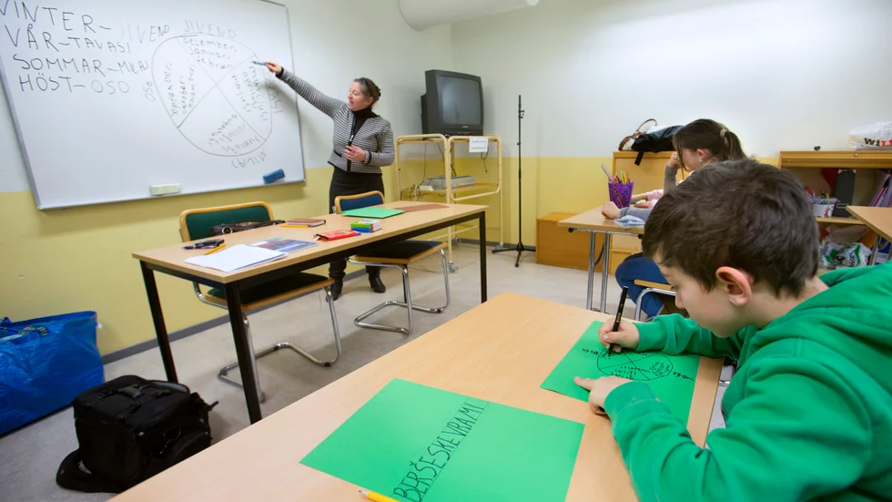 Skribenten tycker att modersmålsundervisningen ska slopas till förmån för att stödja elever i kärnämnena istället.