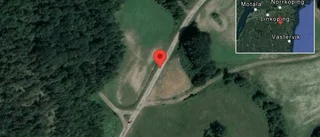 Fallna träd skapar problem i trafiken