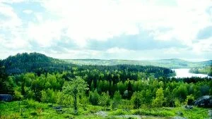 Säger nej. De båda företrädarna för LRF Skogsägarna argumenterar för ett nej till ytterligare avsättningar för naturvårdsändamål i skogsmarker. Arkivbild: Hans Brandin