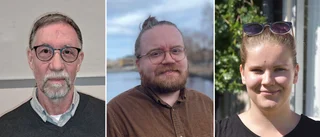Det handlar om att ta ansvar för Bodens ekonomi