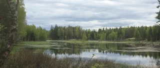 Valdemarsviks beslutsfattare har extremt stort ansvar