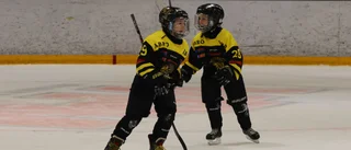 BILDEXTRA: 16 bilder på "VH:s framtid" 