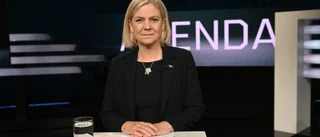 "Socialdemokraternas retorik är farlig för Sverige"