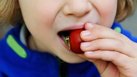 Emil 6 år, smakar på resultatet från familjens snabbfixade köksträdgård.