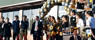 A McFlurry of excitement: Solbacken McDonald's opens