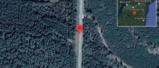Träd över vägen skapar problem i trafiken