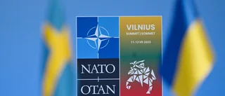 Det handlar bara om Ukraina och inget annat! 