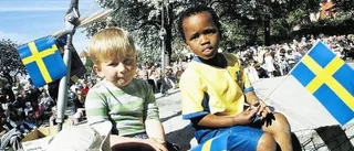 Nationaldag med sol och blågul flagg