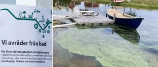 Urgent call to avoid contact with water off Skellefteå coast