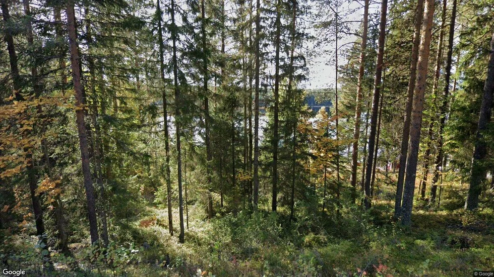 Brännträskvägen 217