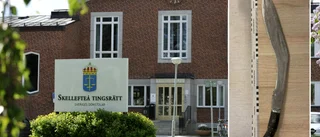 Macheteman döms till fängelse – hotade ”hugga av huvudet”