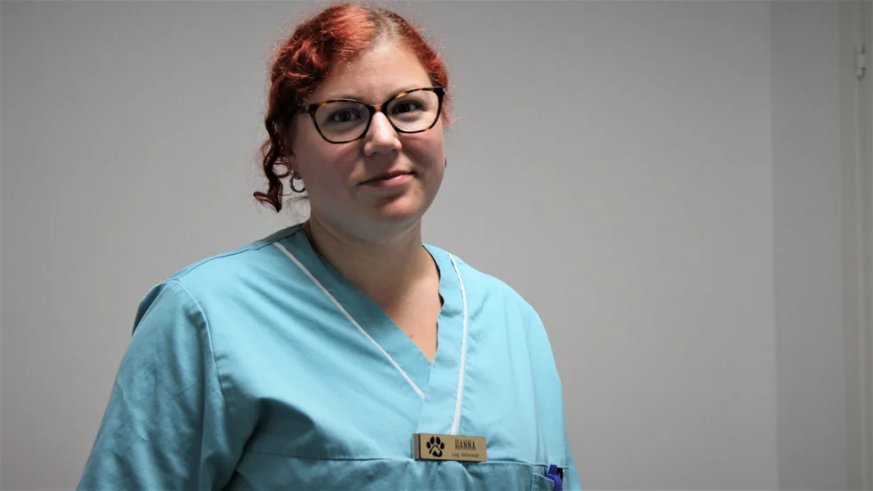 "I början fick vi telefonsamtal när de andras telefontider var slut. Nu ringer det direkt klockan åtta", säger Hanna Granvik på Tierp smådjursklinik.