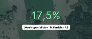 Årsredovisningen klar: Så gick det för Lösullsspecialisten i Mälardalen AB