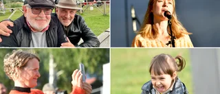 VIMMEL: Intim Pop- och Visfestival 