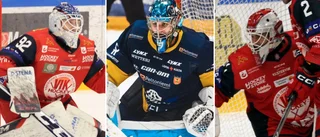 Så kommer VIK hantera situationen med tre målvakter