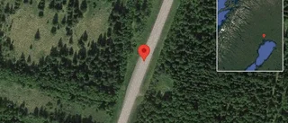 Stopp på E10 på grund av en viltolycka