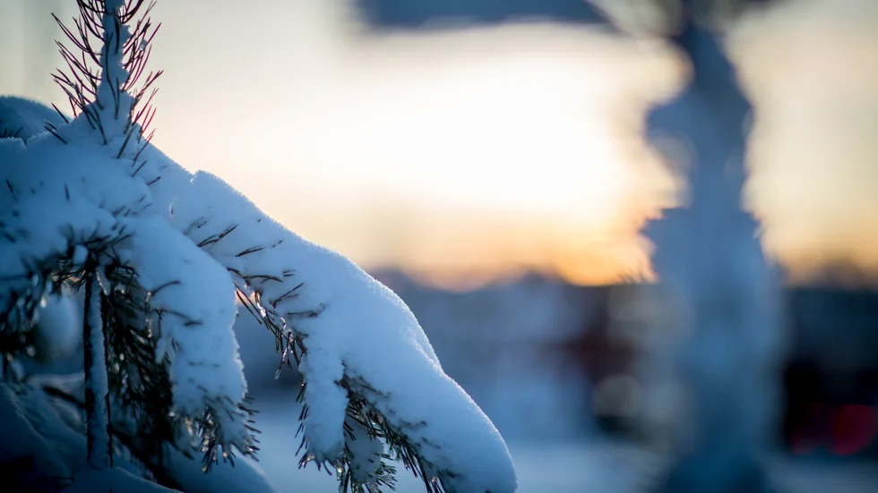 Snart tar sig solen åter lite högre upp på himlen om dagarna. 