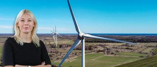 Få snurr på energipolitiken med morötter