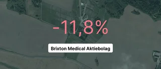 Här är siffrorna som visar hur det gick för Brixton Medical Aktiebolag under 2022
