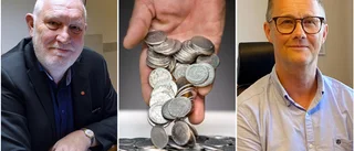 Efter kritiken: Norsjö och Malå kan bli försökskommuner