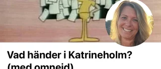 Populär grupp på Facebook pausad – på obestämd tid