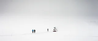 Global heat, local freeze: The puzzling paradox of Swedish winter