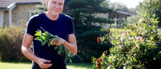 Jonas, 42, först ut i Kärleksjakten: "Vill inte vara själv"