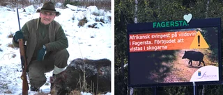 Jägarnas organisation: "Skjut fler vildsvin"