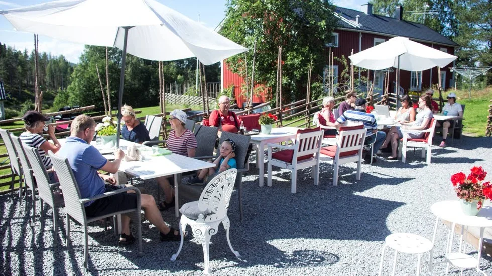 Snackis. Det fikas för fullt på Jössgården. Sommarcafét har med sin idylliska omgivning blivit en stor snackis både när och fjärran, och nu kommer såväl bybor som stadsbor för att fika, äta och dricka.
