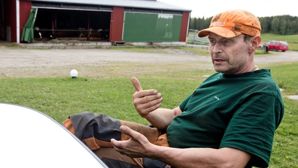 PÅ RYMMEN. Dick Olovsson i Skomanstjälen har tolv kvigor som valt att lämna kvighotellet.
