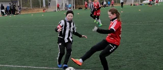 Storforscupen värmde i kylan