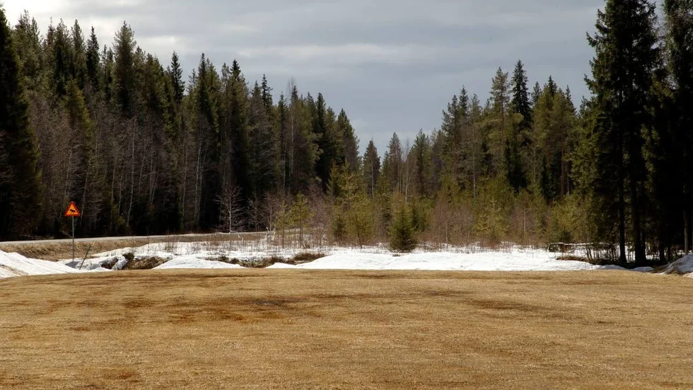 Ett 30-tal meter efter startsträckan störtade planet ner i skogen.