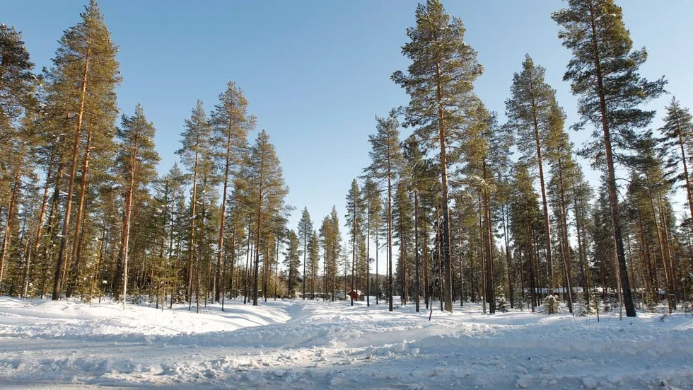 Närmare. En ny infart till Nyfors blir klar i sommar. Den tar gästerna några hundra meter närmare Kanis.