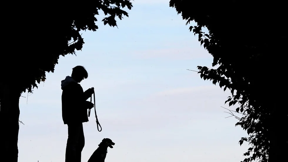 A pedestrian walks with a dog on the banks of the Rhine river in Duisburg, Germany, Thursday, Oct. 18, 2012. (AP Photo/Frank Augstein)