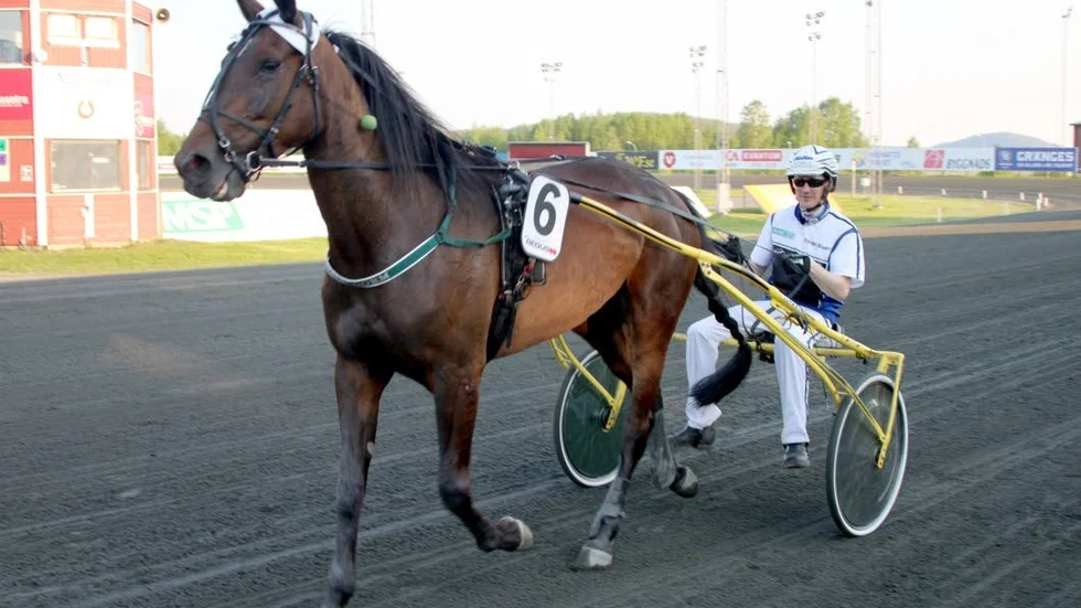 30-oddsaren hemmahästen Sabelline vann V5-3 på nationaldagen i Boden.