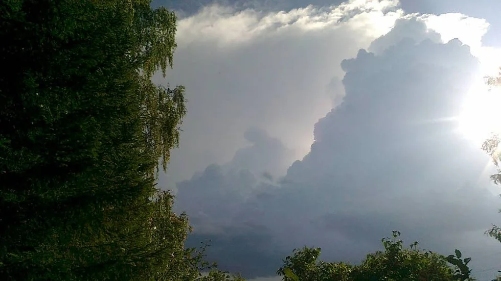 Under söndagen förväntas det bli en hel del moln.