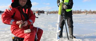 Medaljer till Minkarna