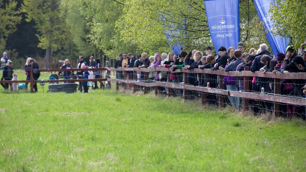 Besökarna hängde över staketen för att få en bra bild.