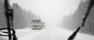 Varnar för hårda vindbyar