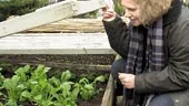 "Det roligaste jag vet är att lägga en varmbänk. Känslan är underbar när man kan börja livet i trädgården redan i slutet av februari." Det menar Gunnel Carlson, från SVT:s Gröna rum, som rekommenderar alla som har möjlighet att lägga en varmbänk. 
FOTO: JANNE FORSBY