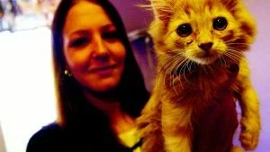 Kattungen Kamala såldes till nya ägare i samband med föreningen Norrköpings Övergivna Djur tioårsjubileum i lördags. 
FOTO: ANDREAS SKOGH