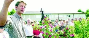 300 skönheter doftar i det nygamla rosariet