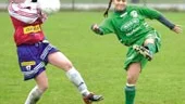 Testspelarna på Parkens konstgräs. Övre raden: Niclas Berg (Eskilstuna City), Halil Selava (Eneby BK), Daniel Olsson (Väsby IK), Anders Whass (IK Sleipner), Alexander Papas (Väsby IK) och Stefan Ljungberg (IK Sleipner). Undre raden: Patrik Engström  (Spårvägens FF), Jonas Andersson (Åby IF), Magnus Pettersson (Azech SF), samt Simon Vardin (Azech SF).
FOTO: NICLAS SANDBERG