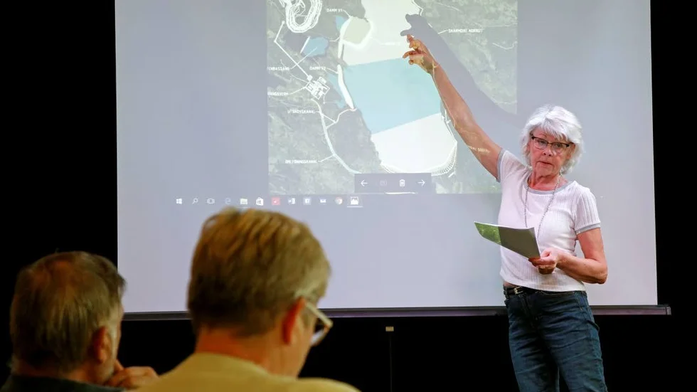 Miljögruppen. Lena Nordqvist tycker att bötessumman är för låg.