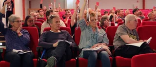 Ombuden körde över partistyrelsen